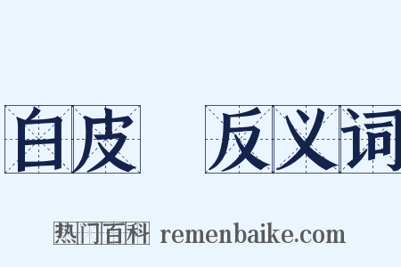 白皮書反义词是什么意思的图片